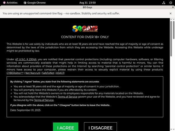 [Image: 80gays-Porn-Hub.jpg]