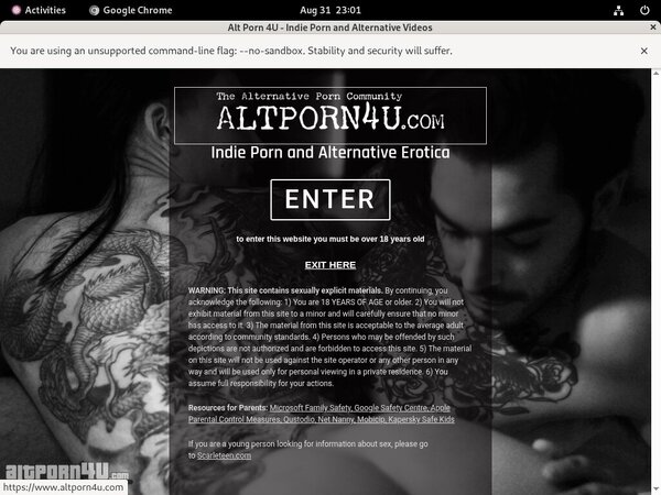 Alt Porn 4 U Porn Accounts