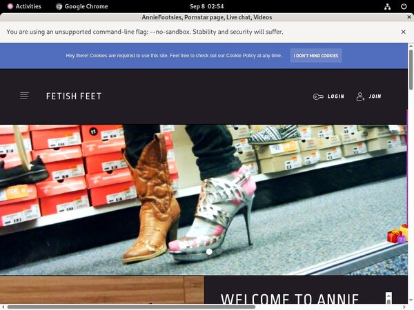 Anniefooties.modelcentro.com Gratis Password