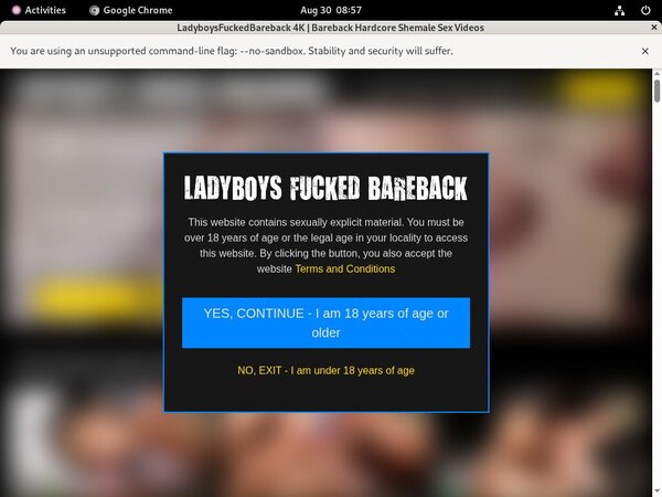 Bareback Fucked Ladyboys Free Membership