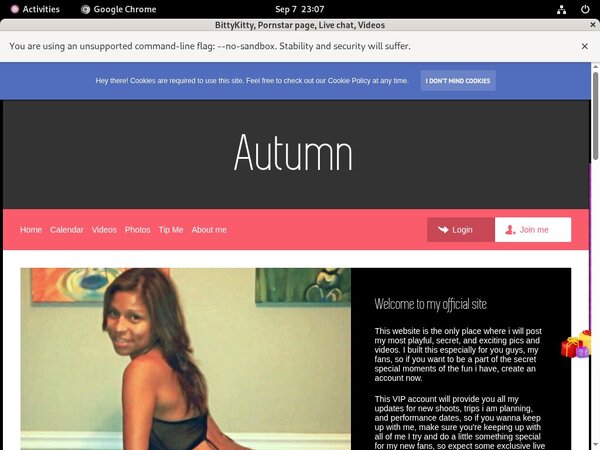 BittyKitty Network Password