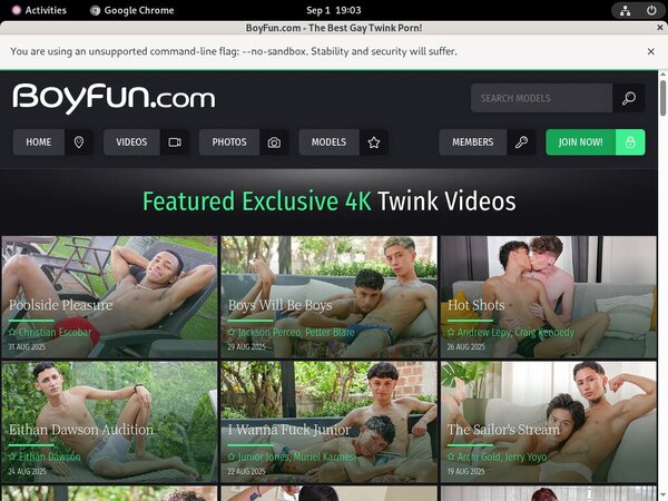 Boyfun.com Sale Price