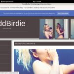 Discount BaddBirdie Link