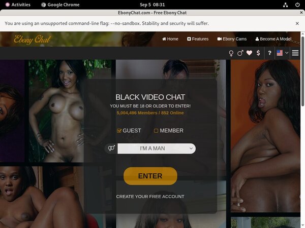 Ebonychat Site Rip Url