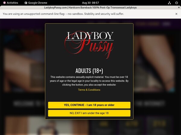 Free Ladyboypussy.com Accounts Free Ladyboypussy.com Accounts