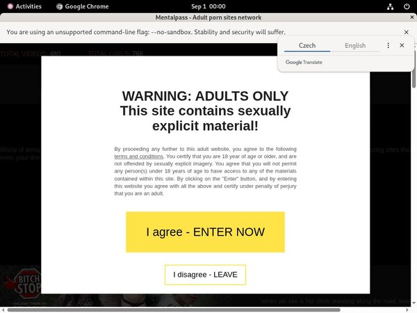 Free Mental Pass Porn Accounts