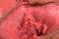 Gape My Pussy Trial Promo s0