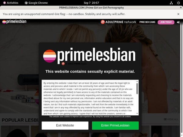 Hd Video Prime Lesbians