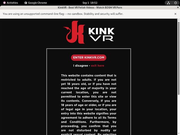 Kinkvr.com Free Video