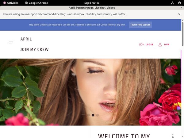 Ladyapril.modelcentro.com Preview