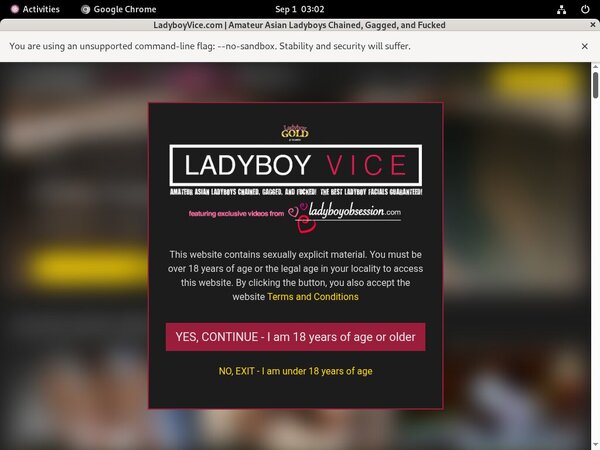 Ladyboy Vice Offer