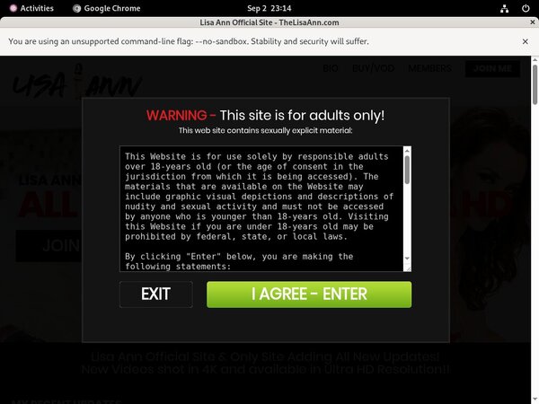 Lisa Ann Member Review