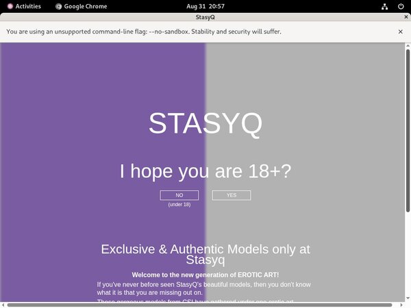 Login Q Stasy Free