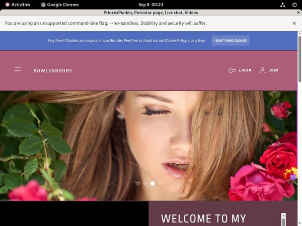Login To Bowlsnboobs.modelcentro.com Free