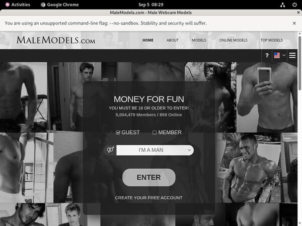 Male Models Lingerie