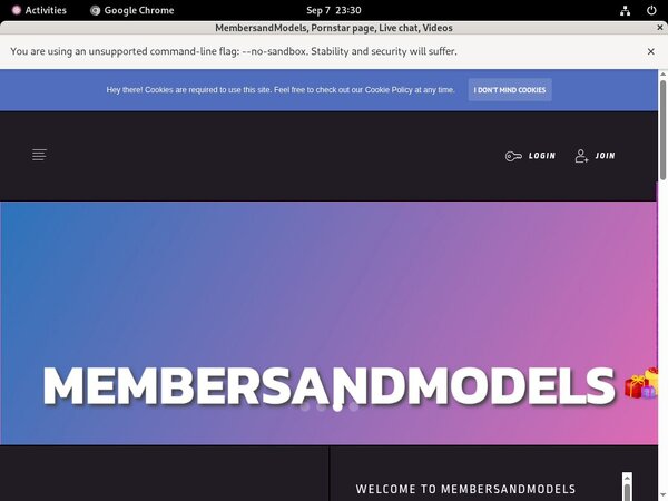 MembersandModels Live