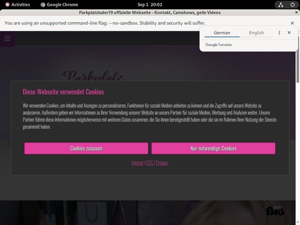 Parkplatzluder19 Paysite