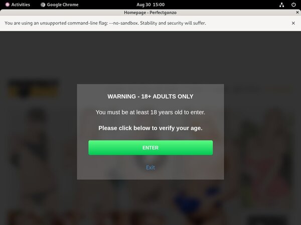 Perfect Gonzo Free Accounts And Passwords