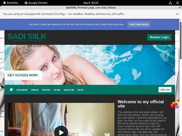 SadiSiilk Paypal Checkout