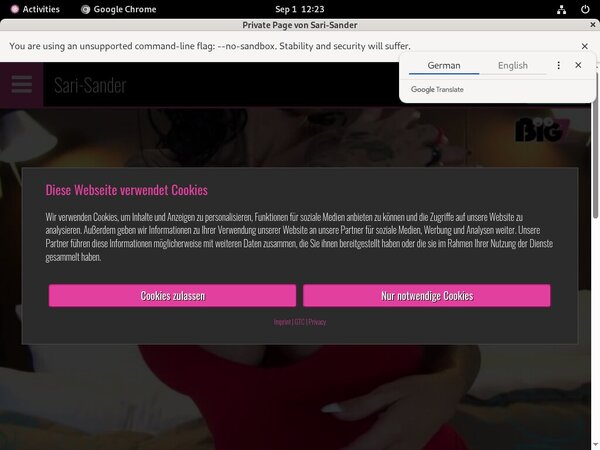 Sari Sander Free Xxx