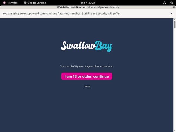 Swallowbay.com Working Pass