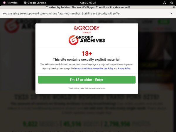 Thegroobyarchives ???