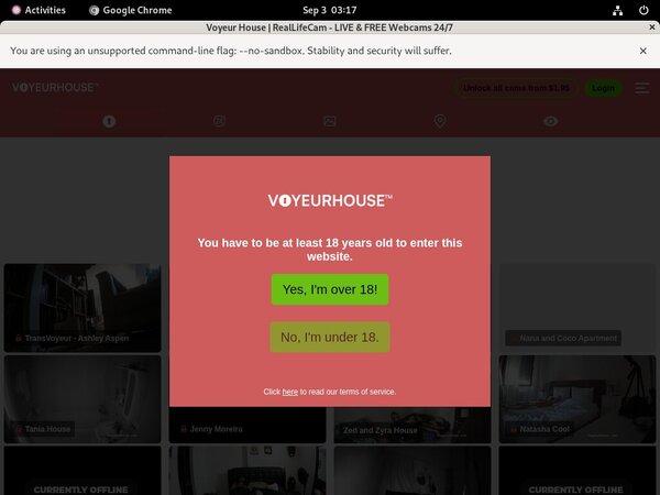 Voyeurhouse.com Preview