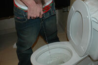 Who Is Boys Pissing s2