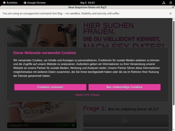 Your Secret Dream Review Site