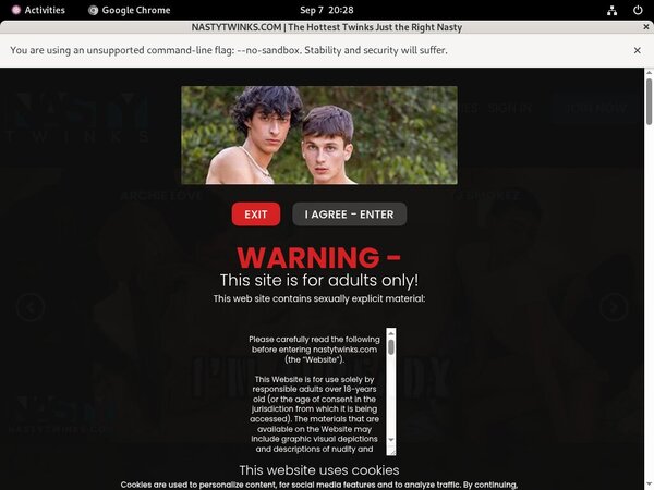 Nasty Twinks New Hd